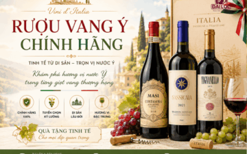 So sánh chi tiết cấu trúc vị chát (tannin) của giống nho Negroamaro và Montepulciano qua hai chai vang Ý Conte Parelli và Caravaggio chính hãng tại Đại Lộc.
