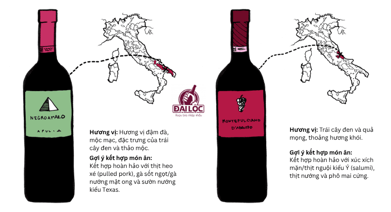 So sánh vị chát của nho Negroamaro và Montepulciano trong vang Ý Độ đậm, độ mịn và cách vị chát này tương tác với vòm họng chính là chìa khóa để phân biệt cá tính của Negroamaro và Montepulciano.
