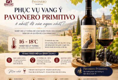 Khám phá nhiệt độ phục vụ rượu vang Ý PavoNero Primitivo chuẩn Sommelier (16°C - 18°C). Shop Đại Lộc Phú Nhuận cung cấp rượu vang Ý chính hãng, giao lạnh hỏa tốc 2h.