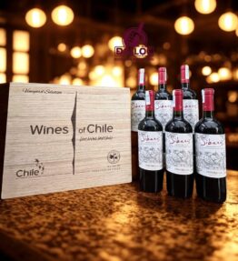 Rượu Vang Chile Sibaris Cabernet Sauvignon 2024 Undurraga Gran Reserva 14%