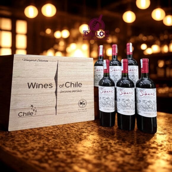 Rượu Vang Chile Sibaris Cabernet Sauvignon 2024 Undurraga Gran Reserva 14%
