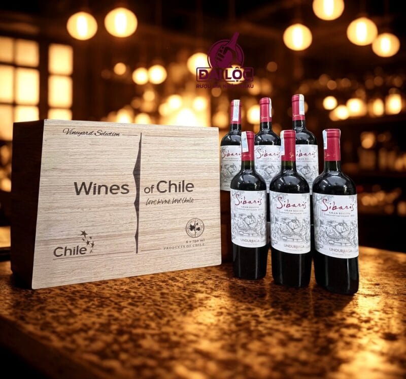 Gợi ý các mẫu set vang Chile hộp gỗ tặng đối tác B2B Thiết kế hộp gỗ đôi chạm khắc logo doanh nghiệp nâng tầm nhận diện thương hiệu.