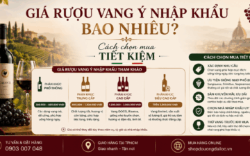 Khảo sát giá rượu vang ý nhập khẩu mới nhất 2026. Mẹo tối ưu chi phí tiếp khách, mua vang nguyên thùng chiết khấu cao tại Đại Lộc TPHCM.