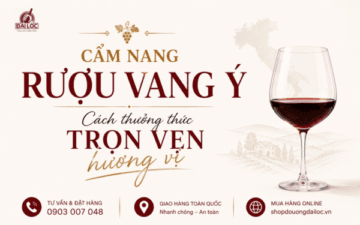 Khám phá cẩm nang rượu vang ý: Bí quyết chỉnh nhiệt độ lý tưởng, kỹ thuật decanting và phối mồi chuẩn Sommelier. Đại Lộc giao vang lạnh 2h tận bàn tiệc.
