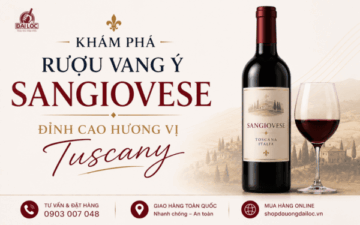 Khám phá hương vị rượu vang Ý Sangiovese đỉnh cao Tuscany. Gợi ý chai Vigneti Romio, CF Collefrisio Primitivo nồng độ cao chính hãng Đồ Uống Đại Lộc 2026.