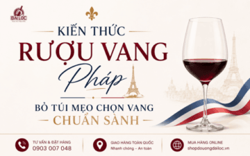 Tổng hợp kiến thức rượu vang Pháp 2026: Giải mã phân hạng AOC, biệt danh Chateau, các dòng vang Bourgogne cao cấp Domaine Gavignet và mẹo chọn vang chuẩn sành.