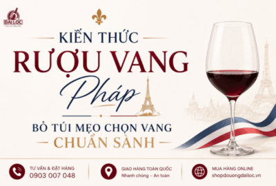 Tổng hợp kiến thức rượu vang Pháp 2026: Giải mã phân hạng AOC, biệt danh Chateau, các dòng vang Bourgogne cao cấp Domaine Gavignet và mẹo chọn vang chuẩn sành.