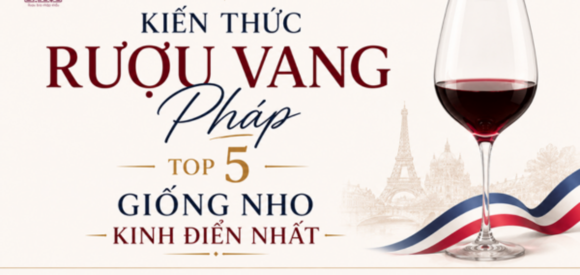 Tra cứu kiến thức rượu vang Pháp: Khám phá hương vị top 5 giống nho kinh điển và mẹo phối mồi chuẩn vị tại Đồ Uống Đại Lộc.