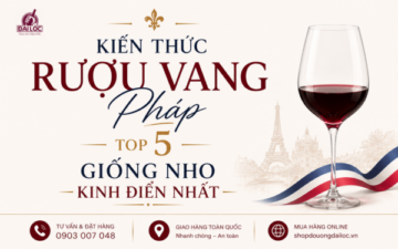 Tra cứu kiến thức rượu vang Pháp: Khám phá hương vị top 5 giống nho kinh điển và mẹo phối mồi chuẩn vị tại Đồ Uống Đại Lộc.