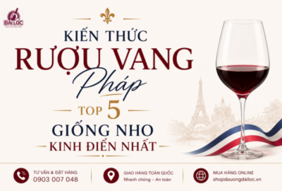 Tra cứu kiến thức rượu vang Pháp: Khám phá hương vị top 5 giống nho kinh điển và mẹo phối mồi chuẩn vị tại Đồ Uống Đại Lộc.