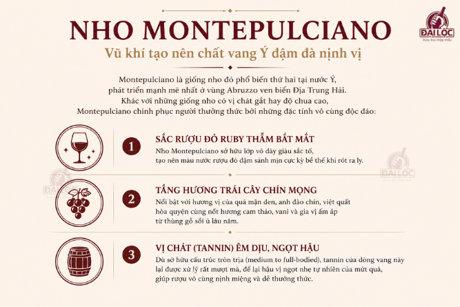 Khám phá hương vị rượu vang Ý cao cấp đến từ vùng Montepulciano Giống nho Montepulciano tạo nên những dòng rượu vang Ý có sắc đỏ ruby sánh đậm và hương vị mượt mà.
