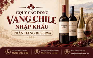 goi-y-cac-dong-vang-chile-nhap-khau-reserva