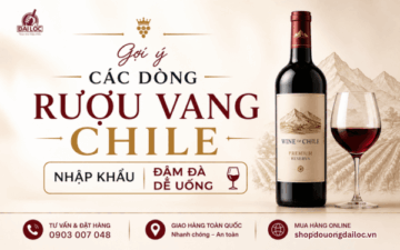 Shop Đồ Uống Đại Lộc cung cấp các dòng rượu vang Chile chính hãng bảo quản hầm lạnh tiêu chuẩn.