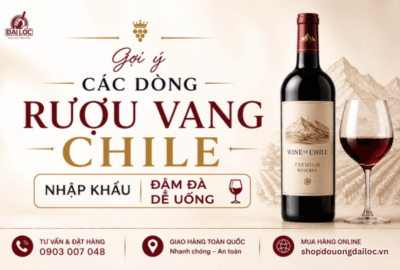 Shop Đồ Uống Đại Lộc cung cấp các dòng rượu vang Chile chính hãng bảo quản hầm lạnh tiêu chuẩn.
