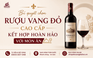 Shop Đồ Uống Đại Lộc phân phối các dòng rượu vang đỏ nhập khẩu chính hãng bảo quản hầm lạnh.