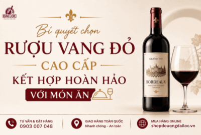 Shop Đồ Uống Đại Lộc phân phối các dòng rượu vang đỏ nhập khẩu chính hãng bảo quản hầm lạnh.
