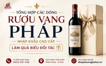 Tổng hợp các dòng rượu vang Pháp nhập khẩu cao cấp biếu đối tác B2B. Cập nhật giá rượu vang Pháp quà tặng mới năm 2026 tại TPHCM.