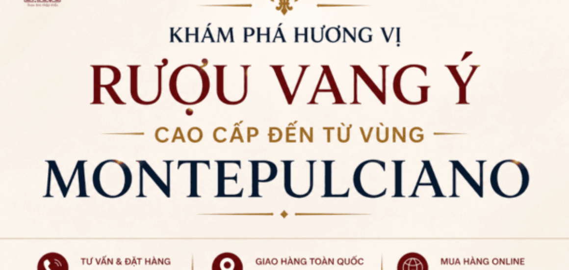 Shop Đồ Uống Đại Lộc chuyên cung cấp các dòng rượu vang Ý chính hãng lưu trữ hầm lạnh tiêu chuẩn.
