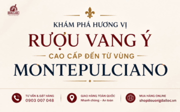 Shop Đồ Uống Đại Lộc chuyên cung cấp các dòng rượu vang Ý chính hãng lưu trữ hầm lạnh tiêu chuẩn.