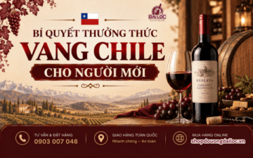 bi-quyet-thuong-thuc-vang-chile-cho-nguoi-moi