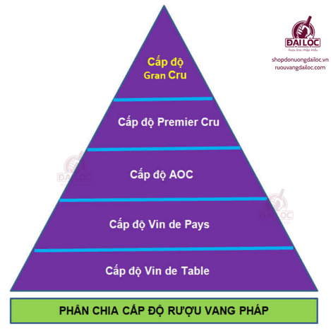 Hướng dẫn phân biệt các phân hạng vang Chile Hiểu rõ hệ thống phân hạng vang Chile giúp chọn đúng chai vang hợp khẩu vị và ngân sách.