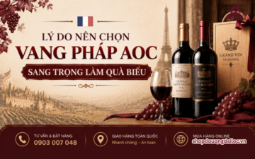 ly-do-nen-chon-vang-phap-aoc-lam-qua-bieu-2026