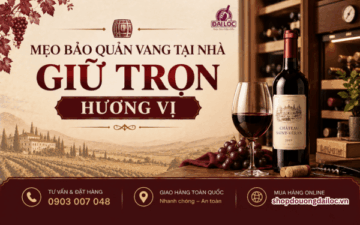 meo-bao-quan-vang-tai-nha-giu-tron-huong-vi
