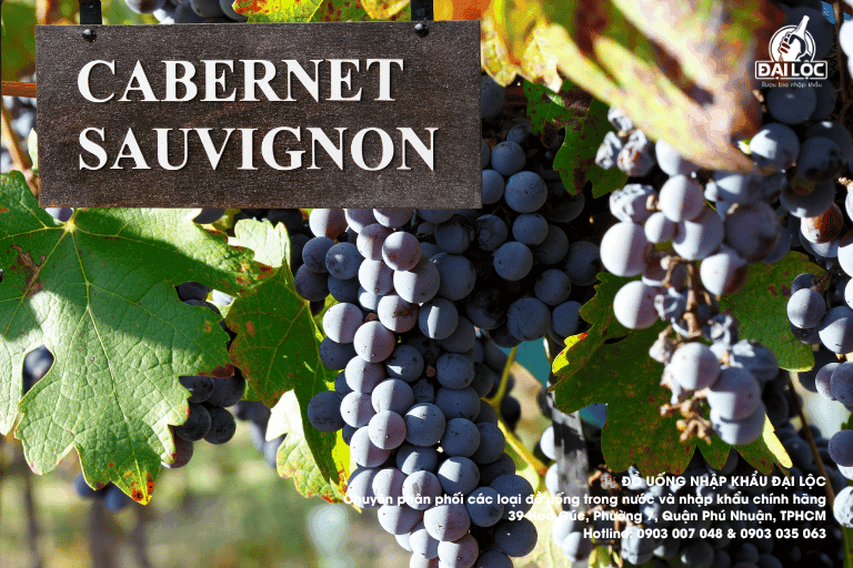 Đánh giá hương vị vang Chile Cabernet Sauvignon chuẩn vị Tầng hương trái cây chín mọng quyện cùng gỗ sồi ấm áp tạo nên hậu vị sâu lắng cho chai vang.