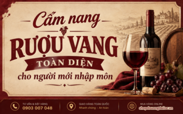 Cẩm nang rượu vang toàn diện cho người mới nhập môn. Hướng dẫn phân loại vang đỏ, vang trắng, giống nho và cách thưởng thức hầm lạnh 2026.