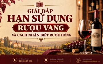 Giải đáp hạn sử dụng rượu vang & cách nhận biết chai vang hỏng. Tìm hiểu tuổi thọ vang đỏ, vang trắng hầm lạnh 2026.