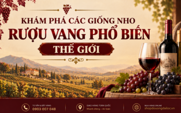Khám phá các giống nho rượu vang phổ biến thế giới. Tìm hiểu Cabernet, Merlot, Sauvignon Blanc hầm lạnh 2026.