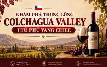 Khám phá thung lũng Colchagua Valley thủ phủ vang Chile. Tìm hiểu giống nho Carmenere, thổ nhưỡng tại Đồ Uống Đại Lộc.