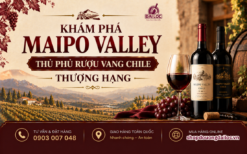 Khám phá Maipo Valley thủ phủ rượu vang Chile thượng hạng. Khám phá thổ nhưỡng, giống nho Cabernet Sauvignon hầm lạnh 2026.