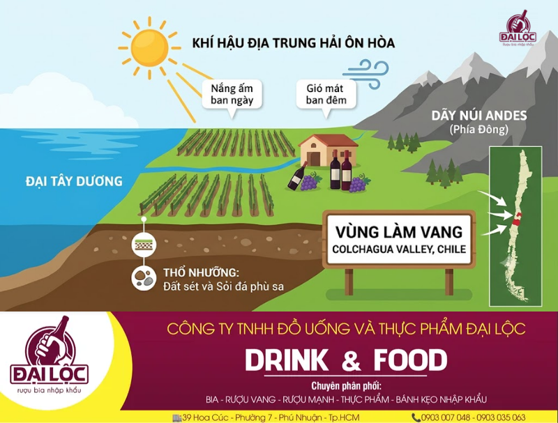 Khám phá thung lũng Colchagua Valley thủ phủ vang Chile Thung lũng Colchagua Valley sở hữu địa hình trải dài từ dãy Andes ra đại dương với khí hậu Địa Trung Hải lý tưởng.