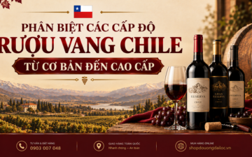 Phân biệt các cấp độ rượu vang chile từ cơ bản đến cao cấp. Tìm hiểu Varietal, Reserva, Gran Reserva tại Đồ Uống Đại Lộc 2026.