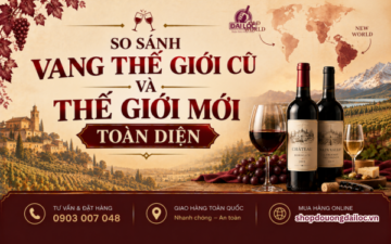 So sánh vang thế giới cũ và thế giới mới toàn diện. Phân tích phong cách Pháp, Ý vs Chile, Mỹ chuẩn hầm lạnh 2026.