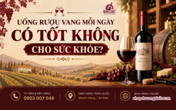 Uống rượu vang mỗi ngày có tốt không cho sức khỏe? Bật mí lợi ích tim mạch, liều lượng chuẩn rượu vang đỏ hầm lạnh 2026.